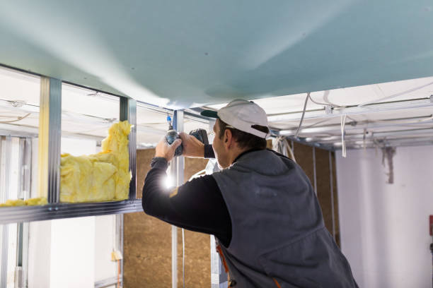 Best Insulation Maintenance and Repair in Port Oconnor, TX