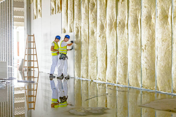 Best Insulation Installation Services in Port Oconnor, TX